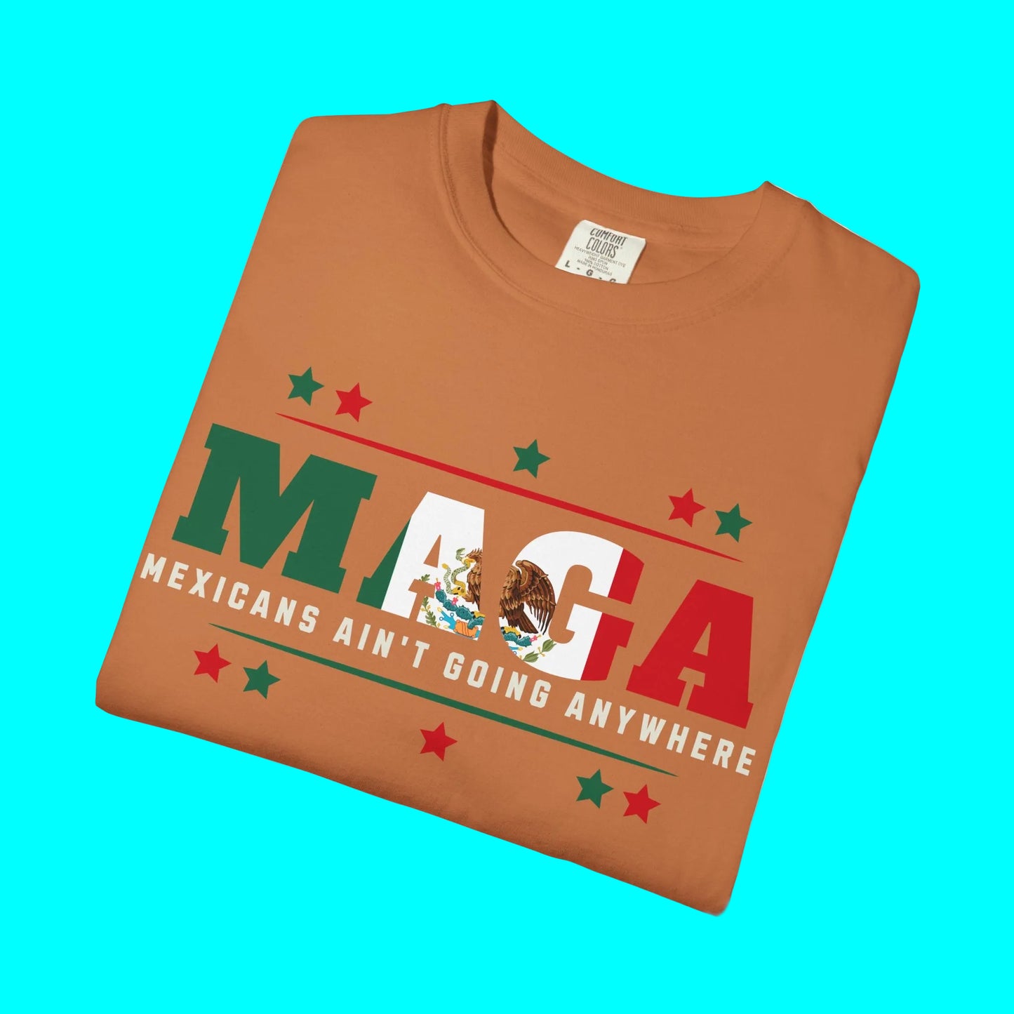 Mexicans Ain't Going Anywhere T-shirt | Latino Funny Viral Tees | 3 Colors