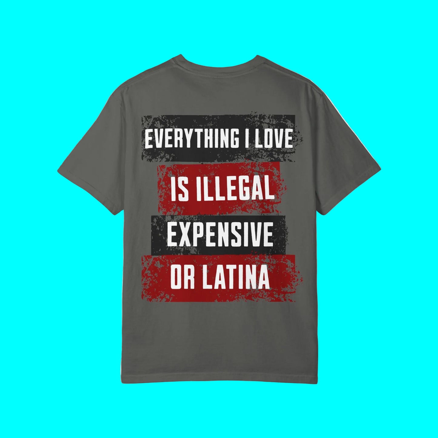 Everything I Love is Illegal, Expensive, or Latina T-shirt (BACK PRINT ONLY) | Latino Funny Viral Tees | 3 Colors