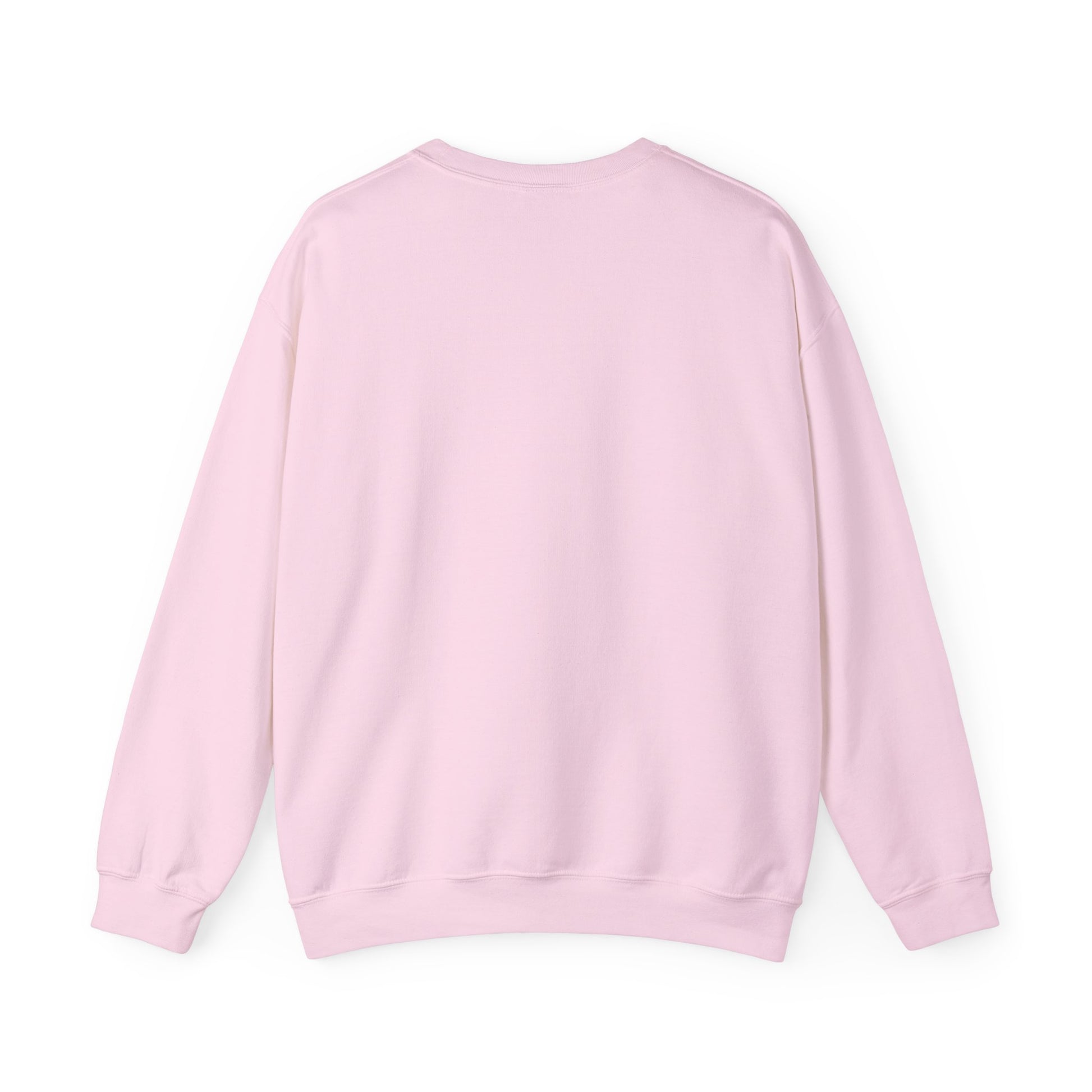 Benito Exclusive | Trap Bunny Heavyweight Crewneck Sweater | 4 Colors - Latinos 4 The World