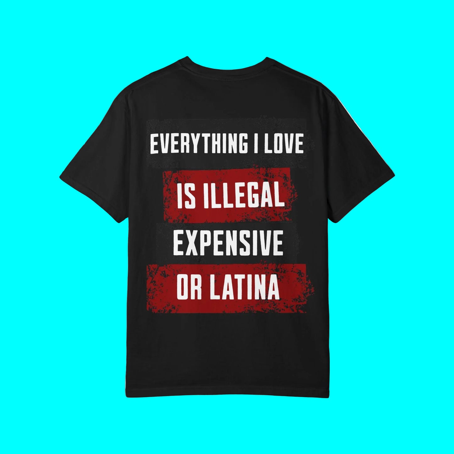 Everything I Love is Illegal, Expensive, or Latina T-shirt (BACK PRINT ONLY) | Latino Funny Viral Tees | 3 Colors