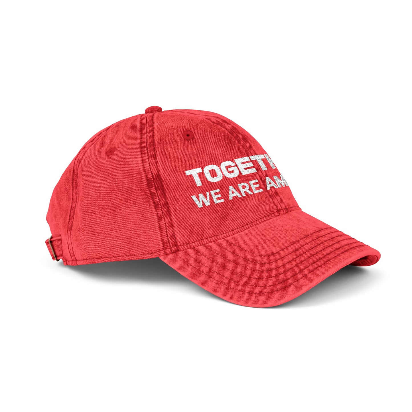Together, We Are America Vintage Distressed 100% cotton twill Embroidered Dad Hat Cap | North, South, Central Unity | Adjustable Strap