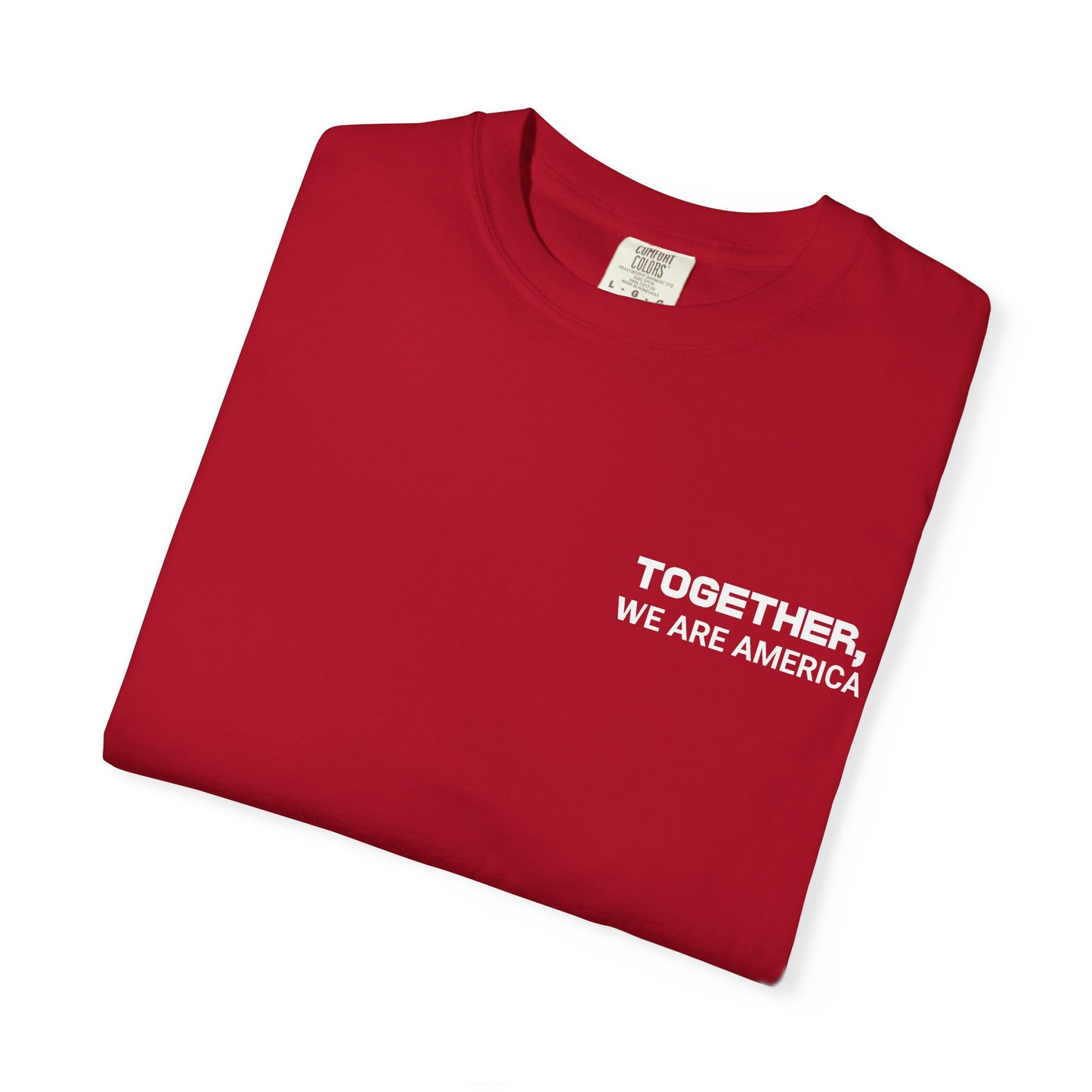 Together, We Are America T-shirt | All North, Central, & South American Flags | Unity Justice | Latino Pride Viral Tees