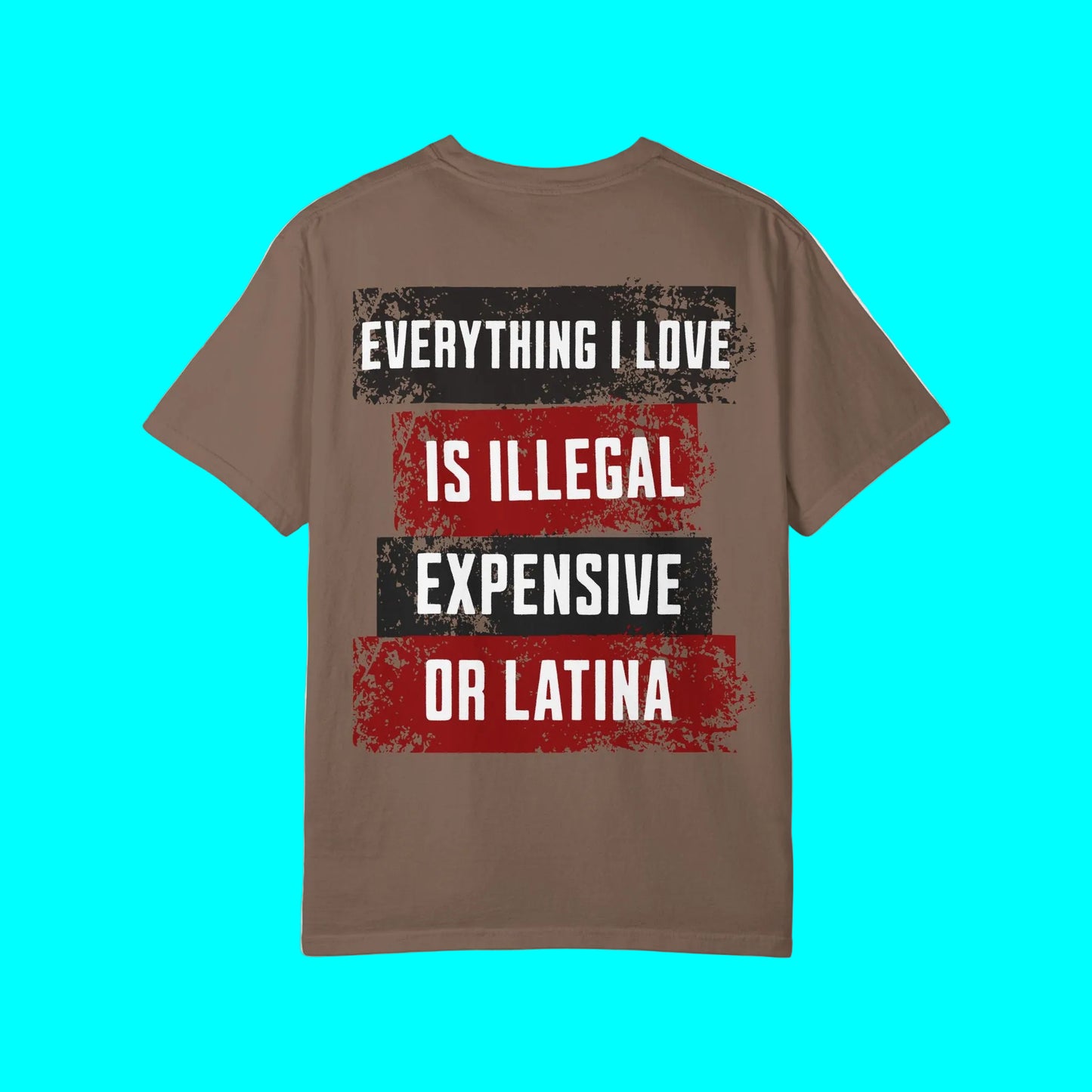 Everything I Love is Illegal, Expensive, or Latina T-shirt (BACK PRINT ONLY) | Latino Funny Viral Tees | 3 Colors