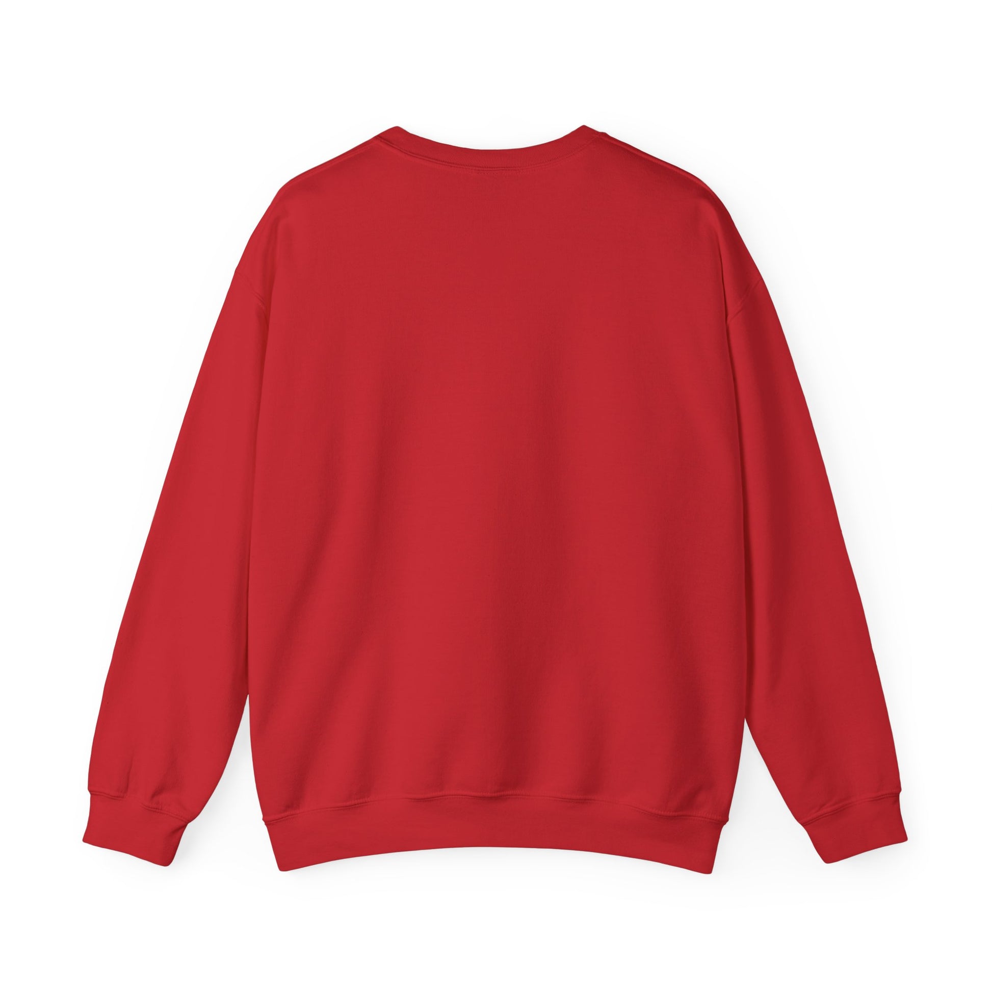 Benito Exclusive | Trap Bunny Heavyweight Crewneck Sweater | 4 Colors - Latinos 4 The World