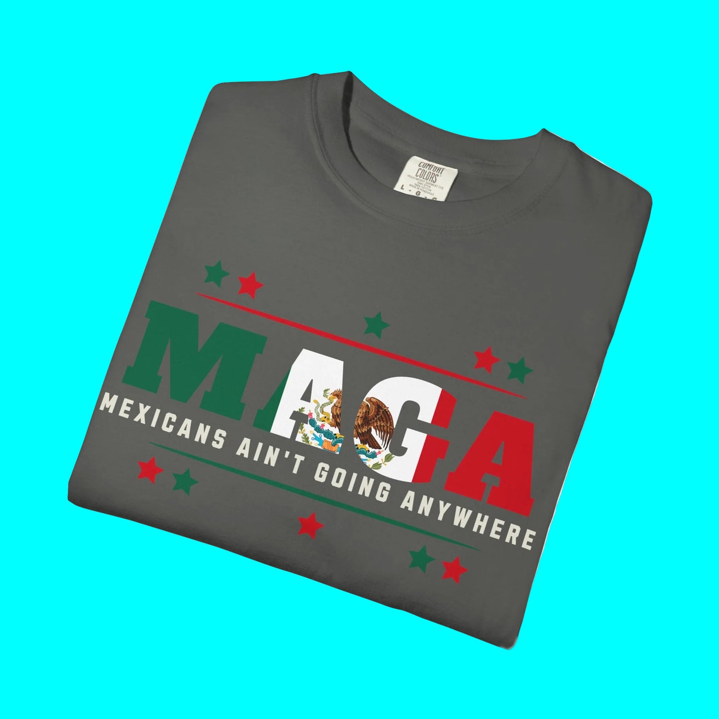 Mexicans Ain't Going Anywhere T-shirt | Latino Funny Viral Tees | 3 Colors