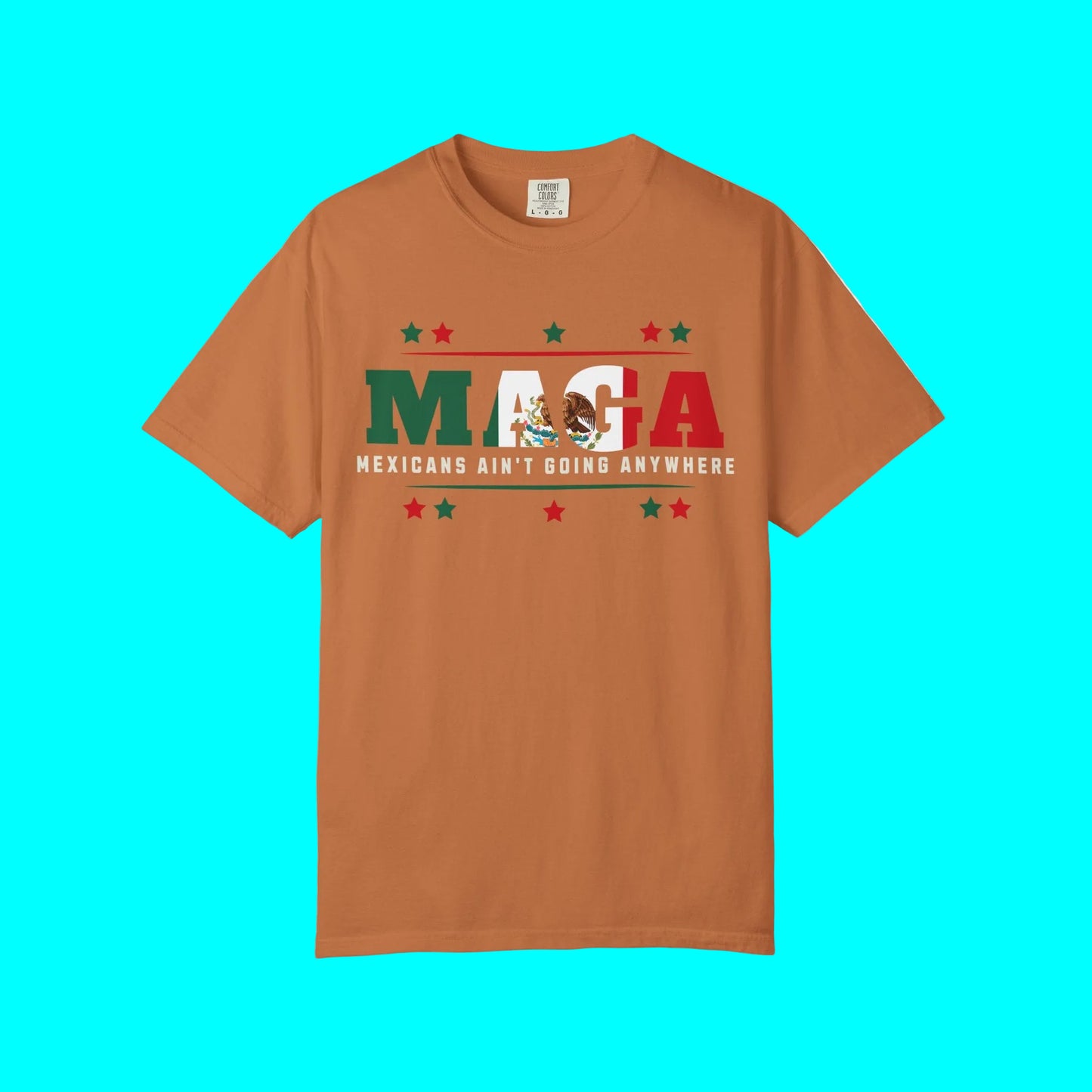 Mexicans Ain't Going Anywhere T-shirt | Latino Funny Viral Tees | 3 Colors