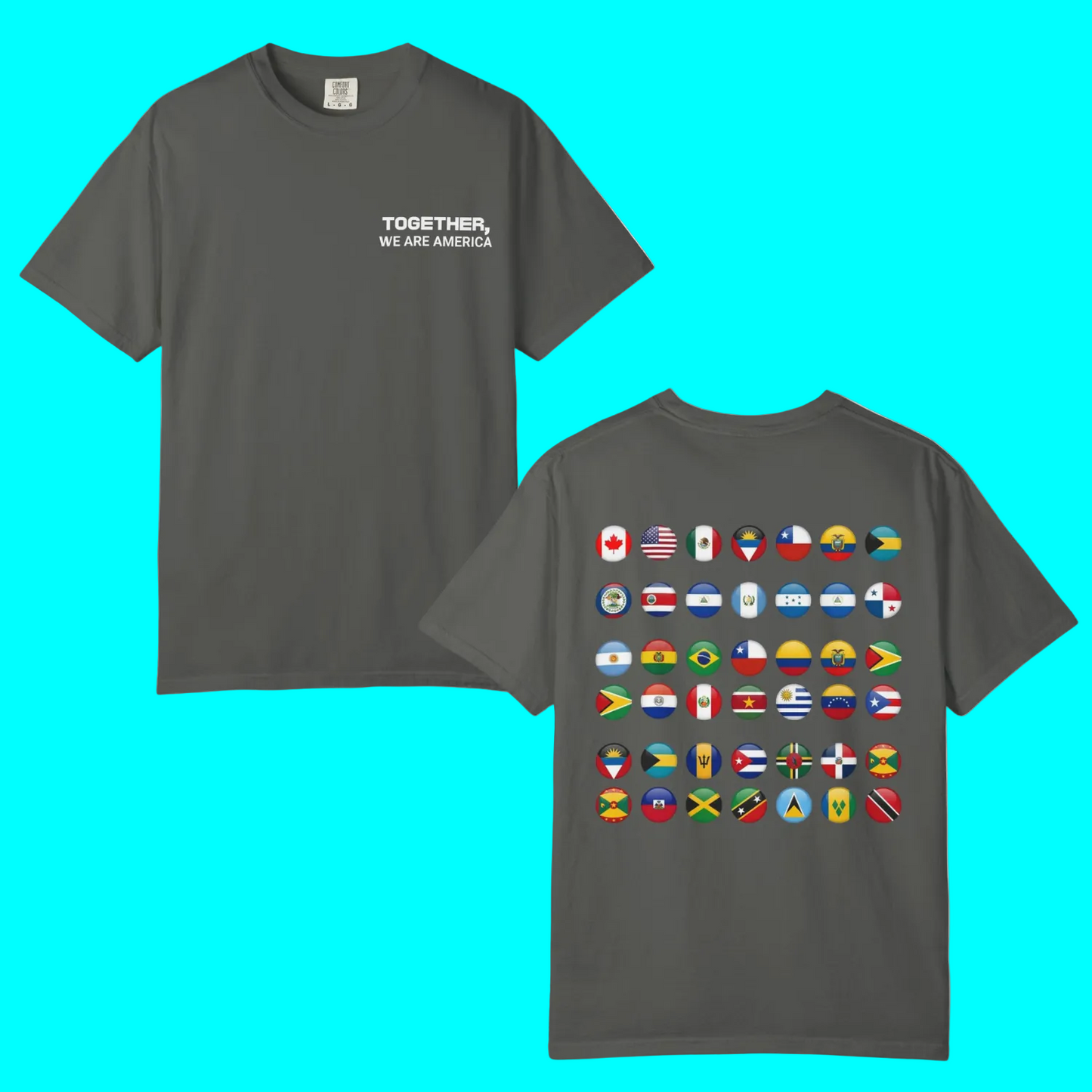 Together, We Are America T-shirt | All North, Central, & South American Flags | Unity Justice | Latino Pride Viral Tees