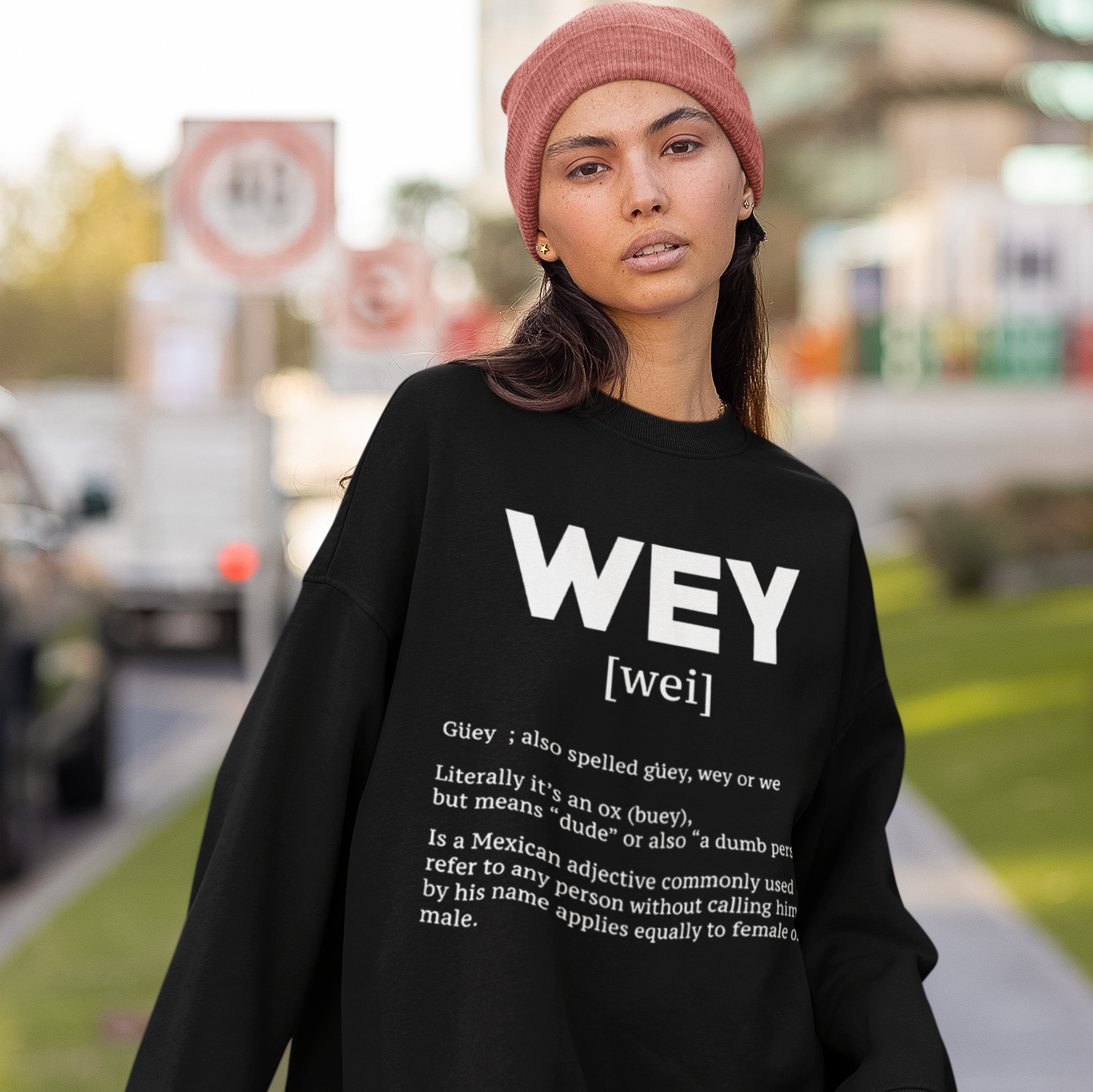 Wey Guey Definition Crewneck Sweatshirt | Funny Latino Fleece-Lined Crewneck | 3 Colors Available